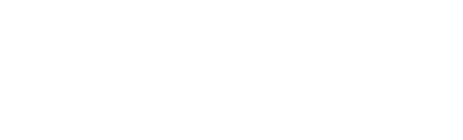 Project 215