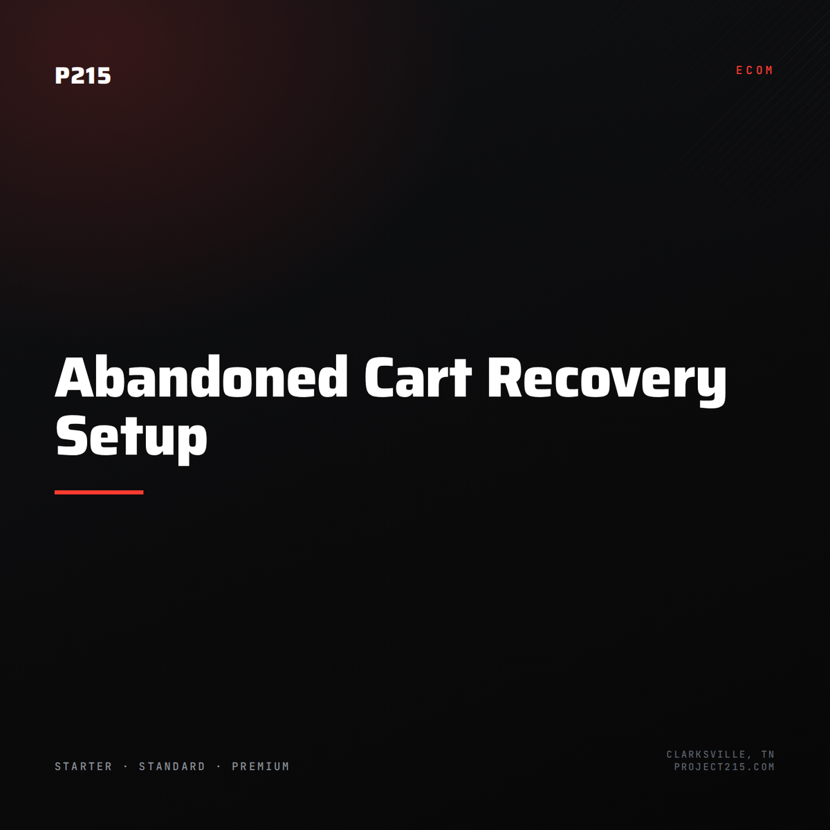 Abandoned Cart Recovery Setup