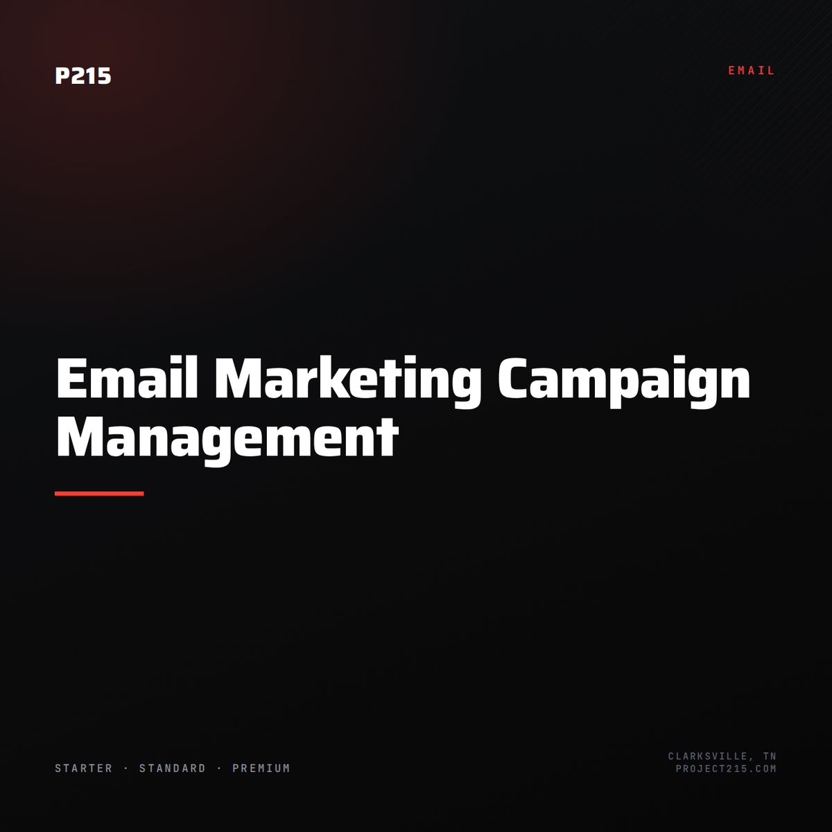 Email Marketing Campaign Management