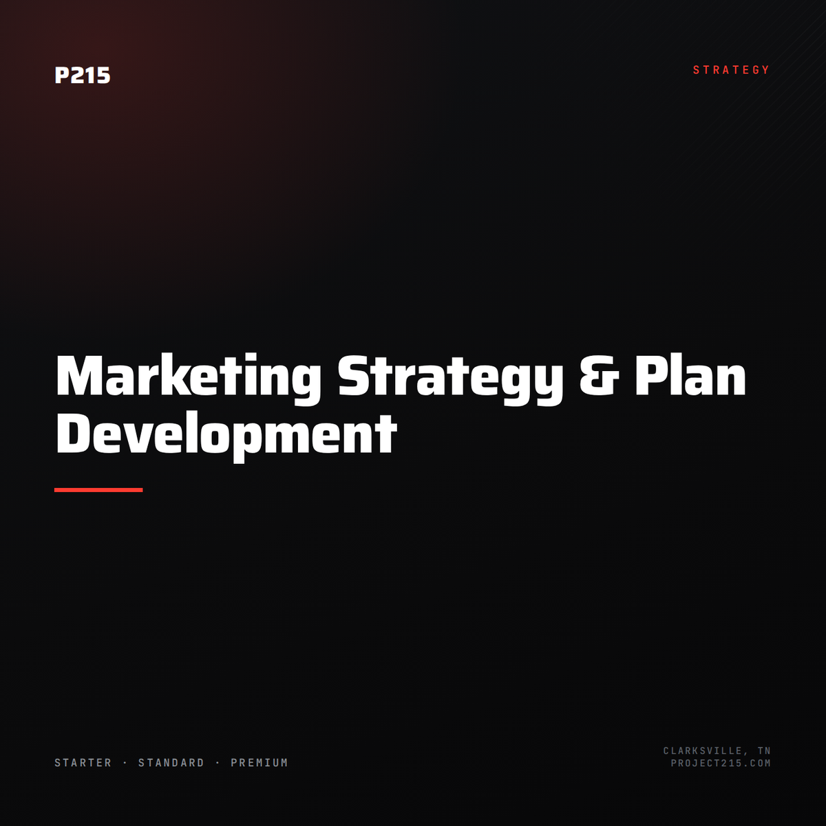 Marketing Strategy & Plan Development