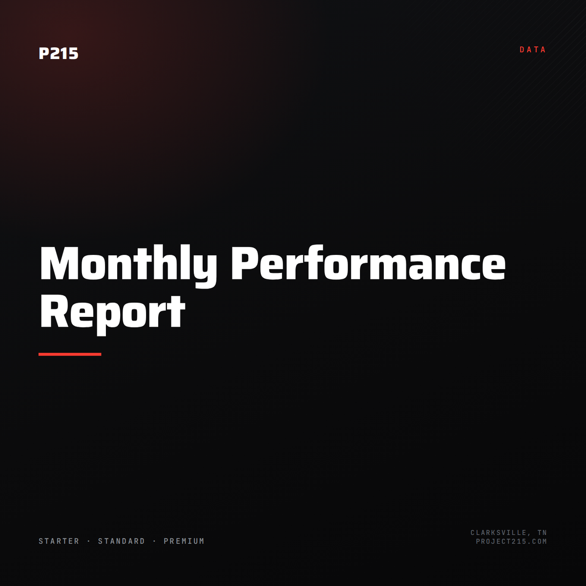 Monthly Performance Report