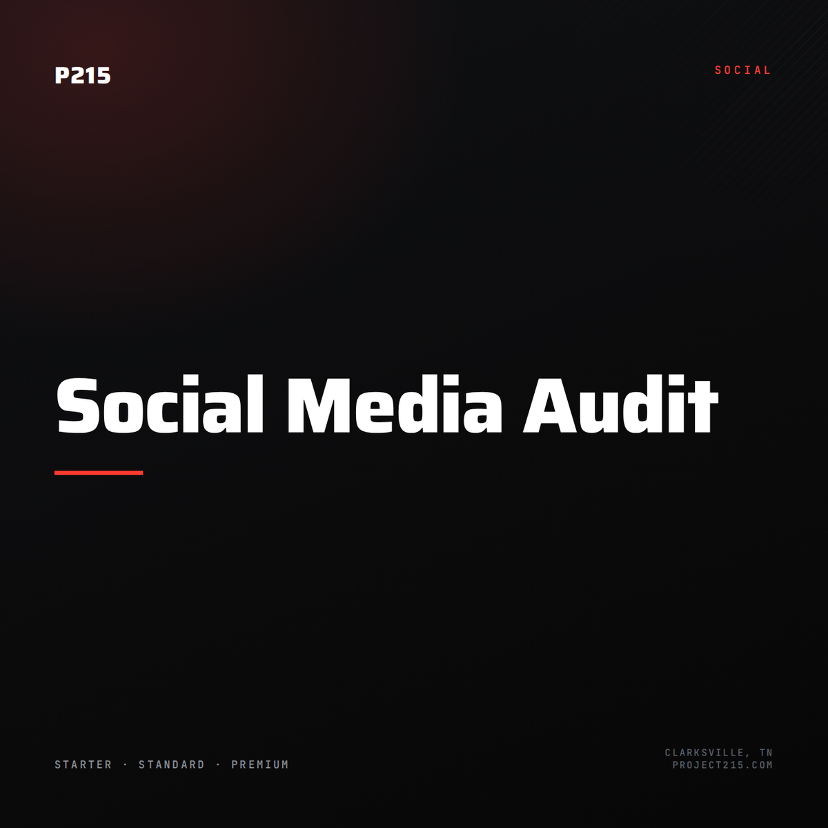 Social Media Audit