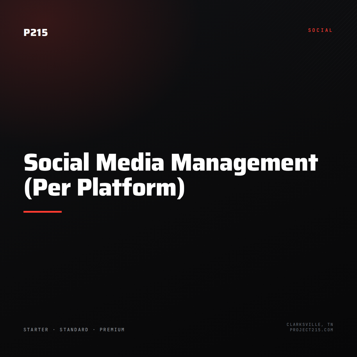 Social Media Management (Per Platform)